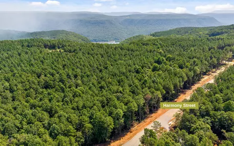 lot2017 Harmony St, Guild, TN 37340 photo 10