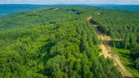 Other - 2222 High Ground Rd, Guild, TN 37340 photo 29 of 48