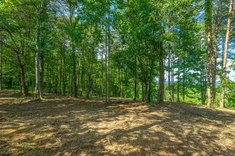 Exterior - 2222 High Ground Rd, Guild, TN 37340 photo 10 of 14