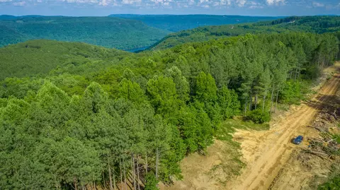 View/Area - 2222 High Ground Rd, Guild, TN 37340 photo 13 of 60