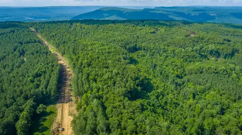 View/Area - 2222 High Ground Rd, Guild, TN 37340 photo 34 of 60
