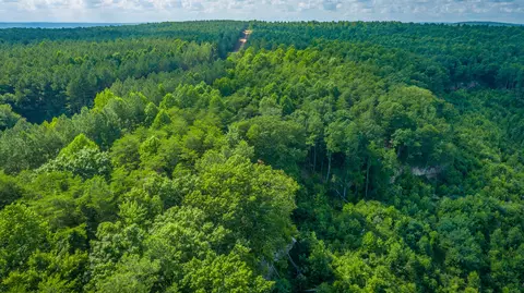 Other - 2222 High Ground Rd, Guild, TN 37340 photo 27 of 48