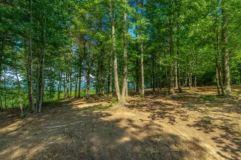 Other - 2222 High Ground Rd, Guild, TN 37340 photo 14 of 48