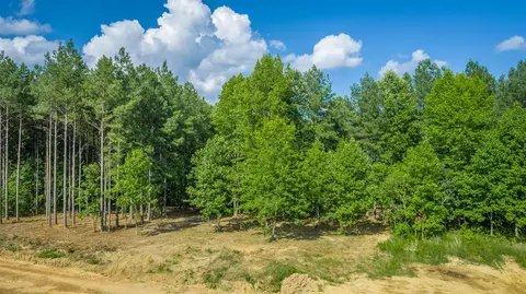 Other - 2222 High Ground Rd, Guild, TN 37340 photo 22 of 48