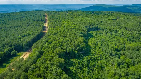 View/Area - 2222 High Ground Rd, Guild, TN 37340 photo 32 of 60