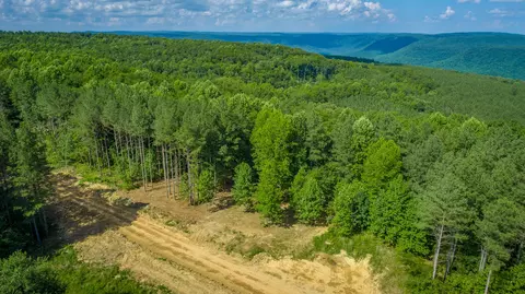 Other - 2222 High Ground Rd, Guild, TN 37340 photo 24 of 48