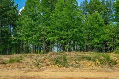 Other - 2222 High Ground Rd, Guild, TN 37340 photo 3 of 48