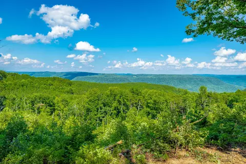 View/Area - 2222 High Ground Rd, Guild, TN 37340 photo 11 of 60