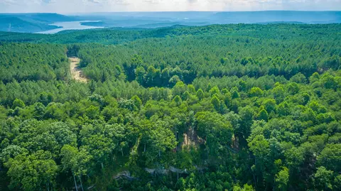 View/Area - 2222 High Ground Rd, Guild, TN 37340 photo 22 of 60