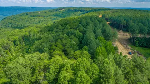 View/Area - 2222 High Ground Rd, Guild, TN 37340 photo 14 of 60