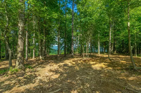 Exterior - 2222 High Ground Rd, Guild, TN 37340 photo 8 of 14