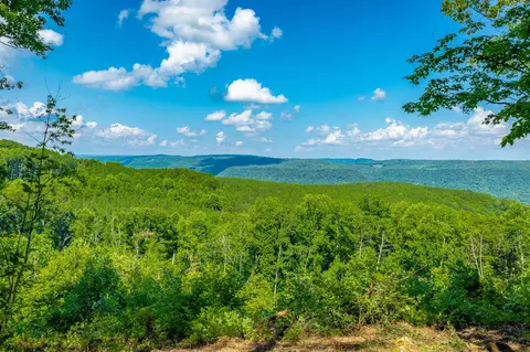 View/Area - 2222 High Ground Rd, Guild, TN 37340 photo 9 of 60