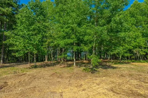 Other - 2222 High Ground Rd, Guild, TN 37340 photo 13 of 48