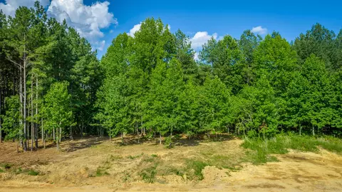 Other - 2222 High Ground Rd, Guild, TN 37340 photo 16 of 48
