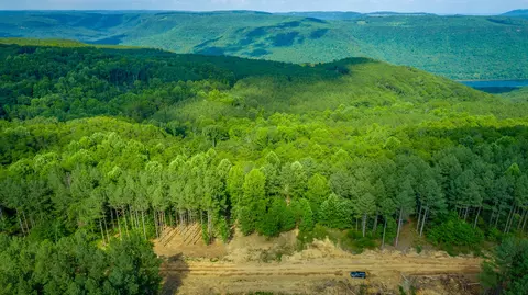 Other - 2222 High Ground Rd, Guild, TN 37340 photo 28 of 48