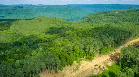 View/Area - 2222 High Ground Rd, Guild, TN 37340 photo 18 of 60