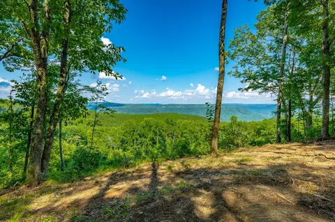View/Area - 2222 High Ground Rd, Guild, TN 37340 photo 6 of 60