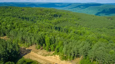Other - 2222 High Ground Rd, Guild, TN 37340 photo 35 of 48