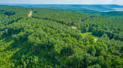 View/Area - 2222 High Ground Rd, Guild, TN 37340 photo 20 of 60