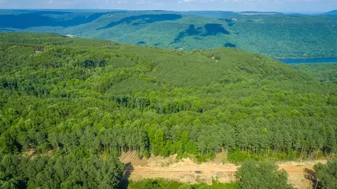 View/Area - 2222 High Ground Rd, Guild, TN 37340 photo 24 of 60