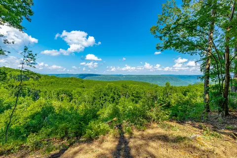 View/Area - 2222 High Ground Rd, Guild, TN 37340 photo 10 of 60