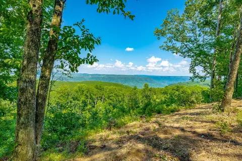 View/Area - 2222 High Ground Rd, Guild, TN 37340 photo 4 of 60