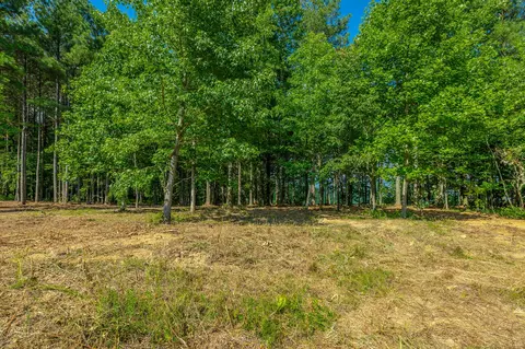Other - 2222 High Ground Rd, Guild, TN 37340 photo 12 of 48