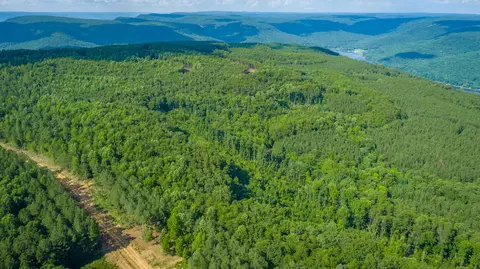 View/Area - 2222 High Ground Rd, Guild, TN 37340 photo 35 of 60