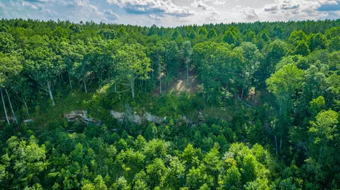 Other - 2222 High Ground Rd, Guild, TN 37340 photo 32 of 48
