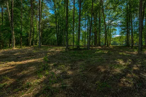 Exterior - 2222 High Ground Rd, Guild, TN 37340 photo 13 of 14