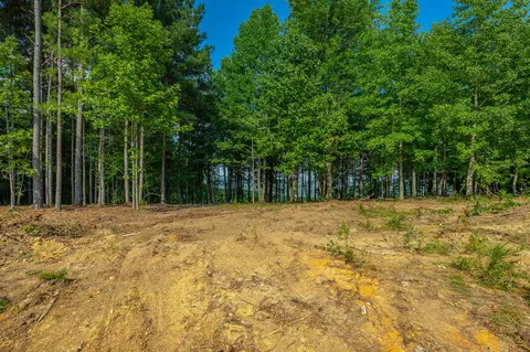 Other - 2222 High Ground Rd, Guild, TN 37340 photo 8 of 48