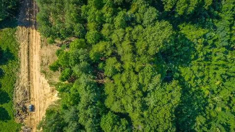 View/Area - 2222 High Ground Rd, Guild, TN 37340 photo 36 of 60