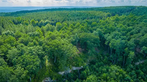 View/Area - 2222 High Ground Rd, Guild, TN 37340 photo 17 of 60