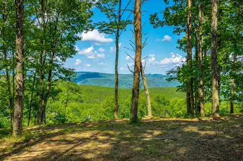 View/Area - 2222 High Ground Rd, Guild, TN 37340 photo 5 of 60