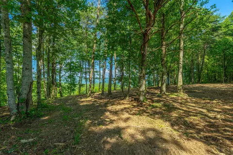 View/Area - 2222 High Ground Rd, Guild, TN 37340 photo 12 of 60