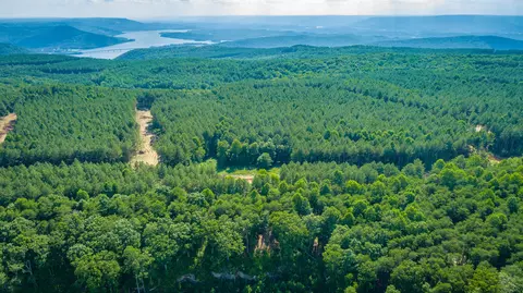 View/Area - 2222 High Ground Rd, Guild, TN 37340 photo 30 of 60
