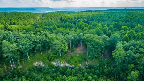 View/Area - 2222 High Ground Rd, Guild, TN 37340 photo 16 of 60