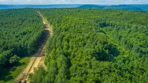 Other - 2222 High Ground Rd, Guild, TN 37340 photo 31 of 48