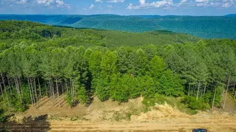 Other - 2222 High Ground Rd, Guild, TN 37340 photo 23 of 48