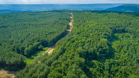 View/Area - 2222 High Ground Rd, Guild, TN 37340 photo 33 of 60