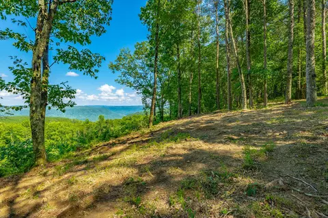 Other - 2222 High Ground Rd, Guild, TN 37340 photo 1 of 48