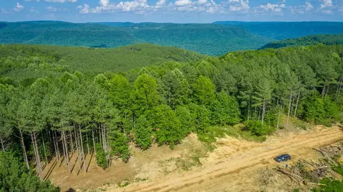 Other - 2222 High Ground Rd, Guild, TN 37340 photo 26 of 48