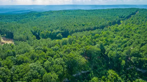 Other - 2222 High Ground Rd, Guild, TN 37340 photo 30 of 48