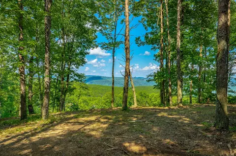 View/Area - 2222 High Ground Rd, Guild, TN 37340 photo 3 of 60