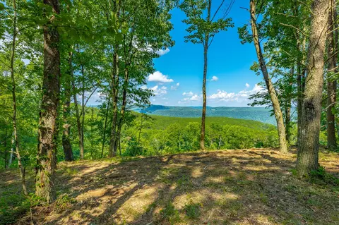 View/Area - 2222 High Ground Rd, Guild, TN 37340 photo 2 of 60