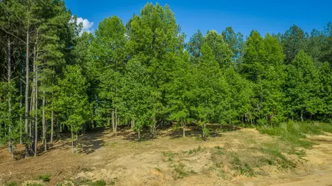 Other - 2222 High Ground Rd, Guild, TN 37340 photo 19 of 48