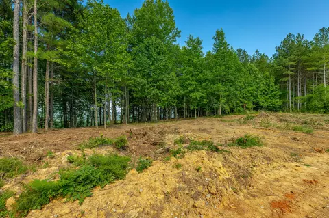 Other - 2222 High Ground Rd, Guild, TN 37340 photo 7 of 48