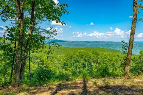 View/Area - 2222 High Ground Rd, Guild, TN 37340 photo 1 of 60