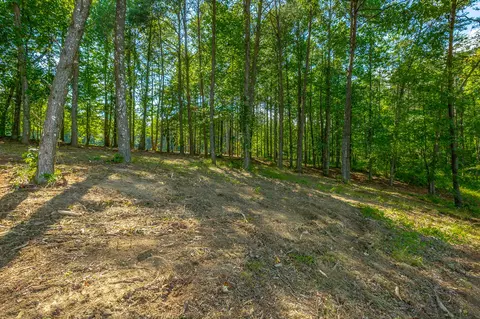 Exterior - 2222 High Ground Rd, Guild, TN 37340 photo 12 of 14