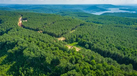 View/Area - 2222 High Ground Rd, Guild, TN 37340 photo 28 of 60